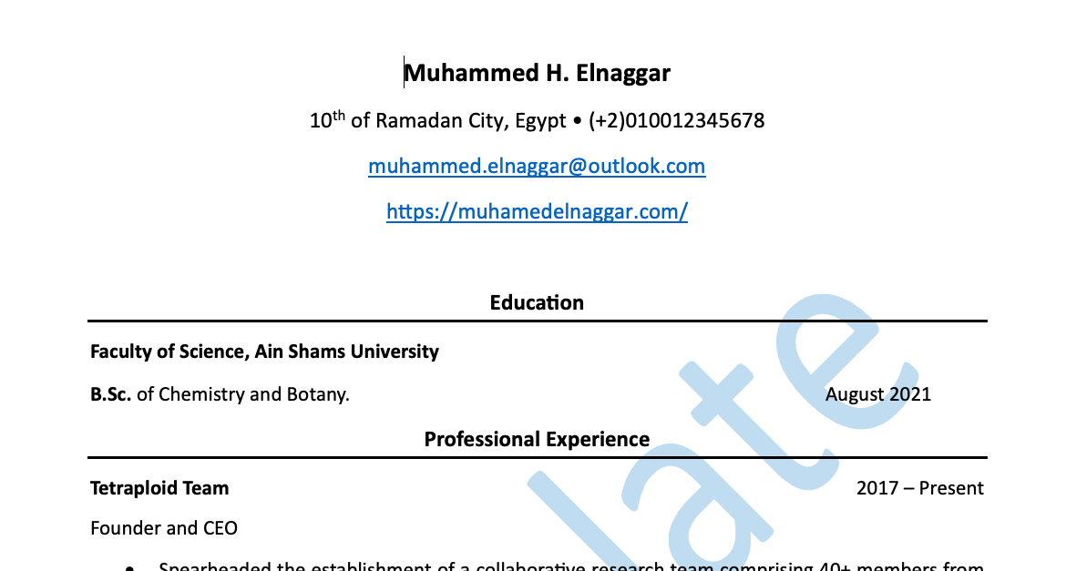 CV Template